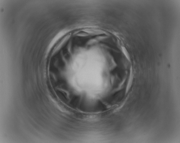 X0000077350056200611101624