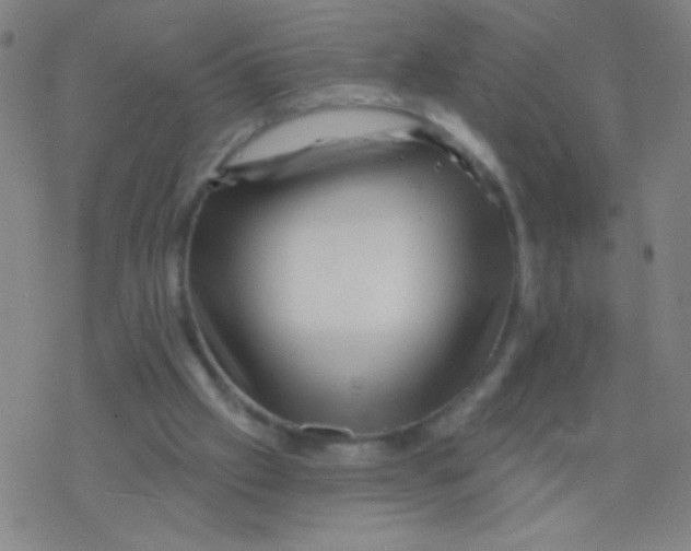 X0000077350057200611101624