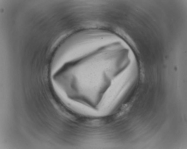 X0000077350058200611101624