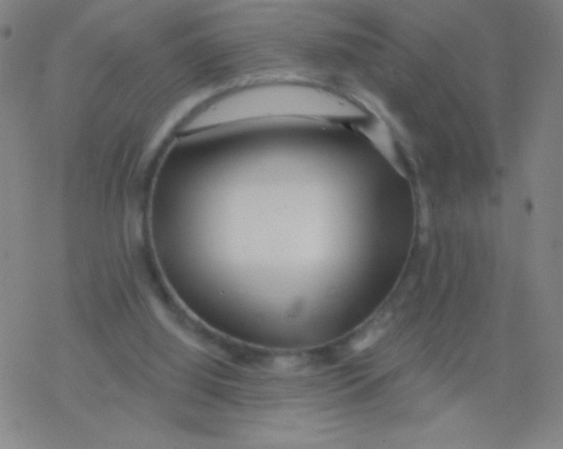 X0000077350060200611101624