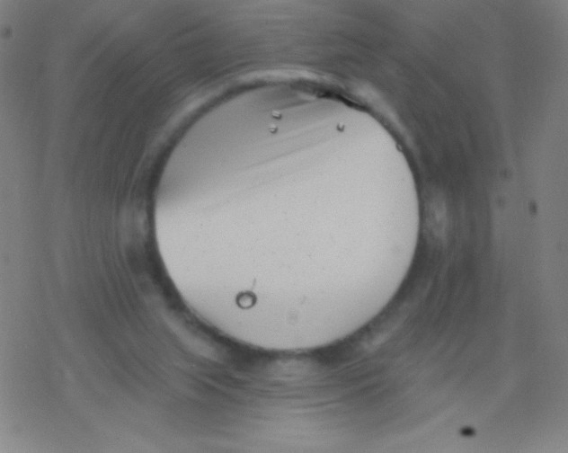 X0000077350063200611101624