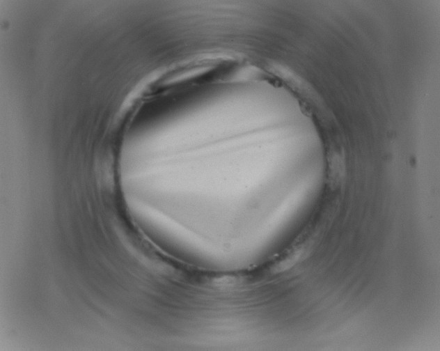 X0000077350064200611101624