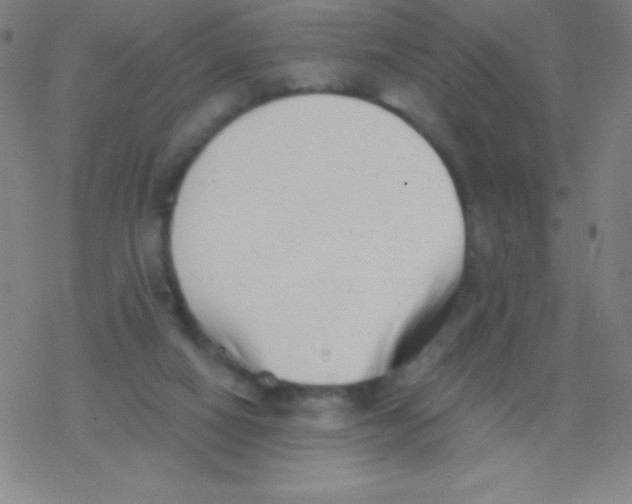 X0000077350066200611101624