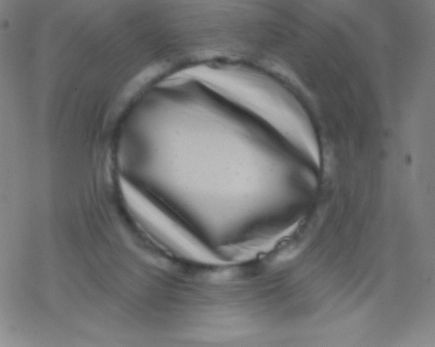 X0000077350068200611101624