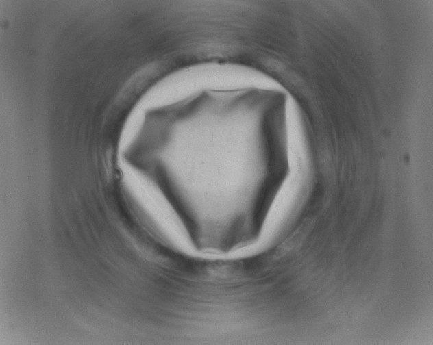 X0000077350070200611101624