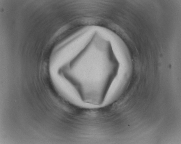 X0000077350071200611101624