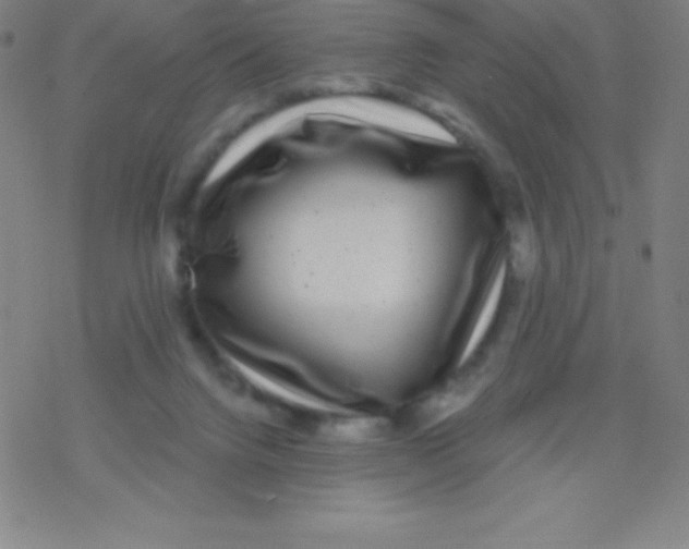 X0000077350072200611101624