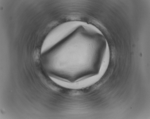 X0000077350073200611101624