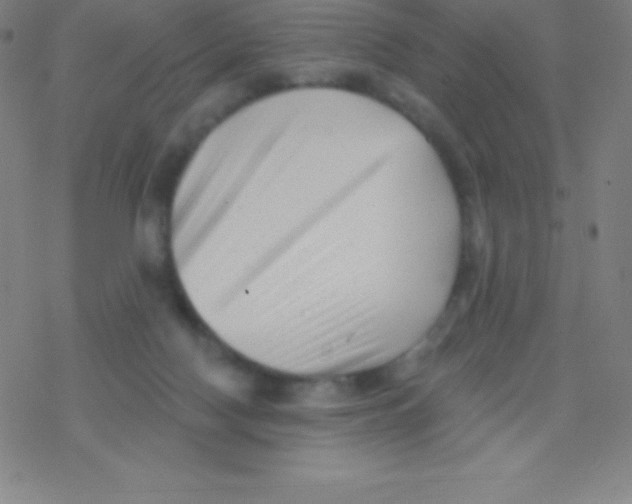 X0000077350074200611101624