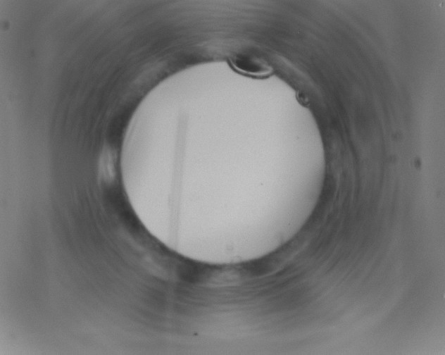 X0000077350075200611101624