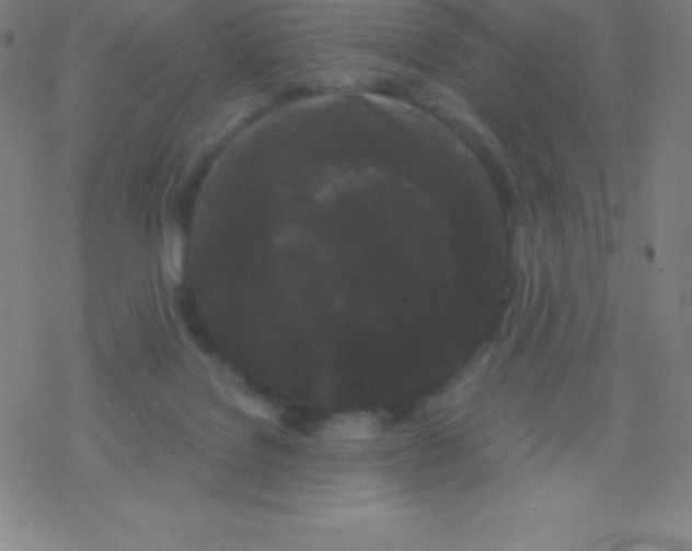 X0000077350076200611101624