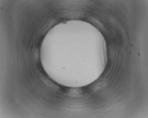 X0000077350077200611101624