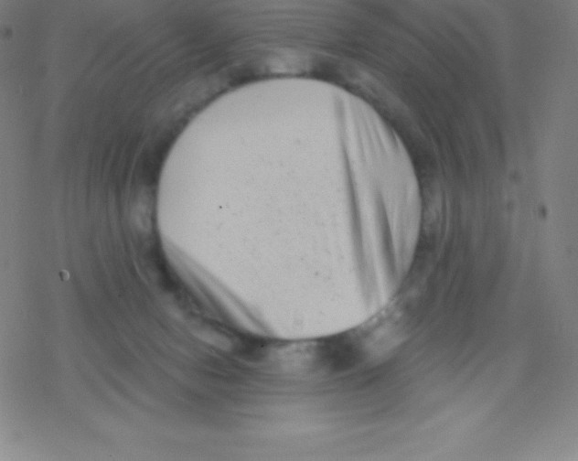 X0000077350078200611101624