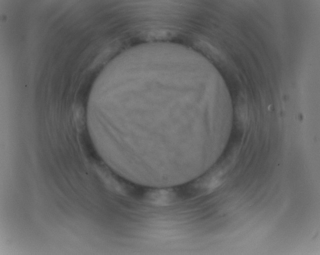 X0000077350079200611101624