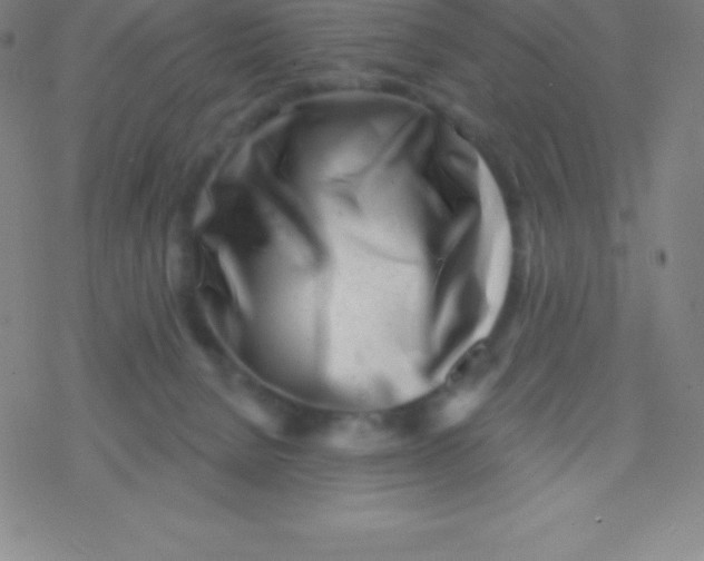 X0000077350080200611101625