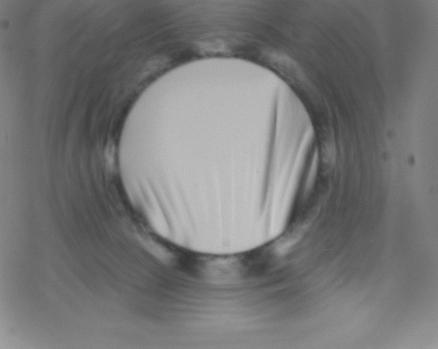 X0000077350081200611101625