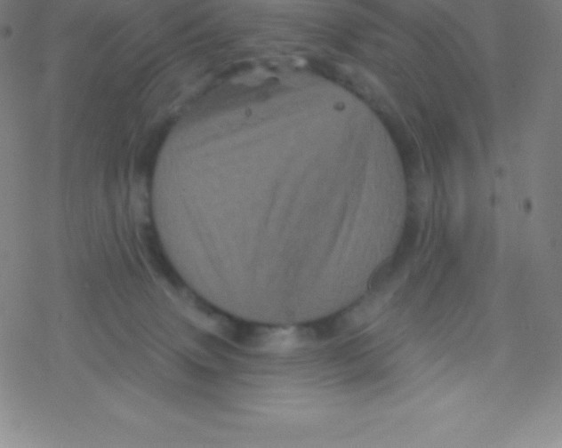 X0000077350083200611101625