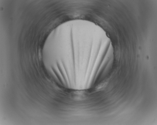 X0000077350085200611101625