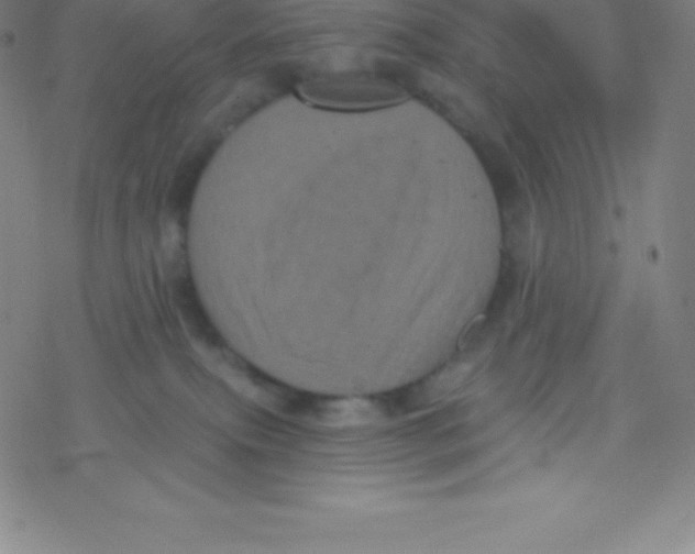 X0000077350087200611101625