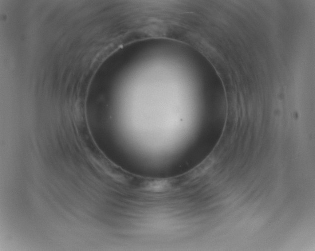 X0000077350088200611101625