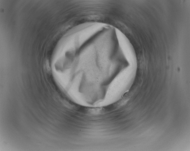 X0000077350089200611101625