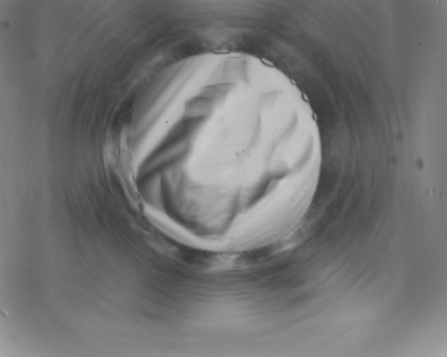 X0000077350090200611101625