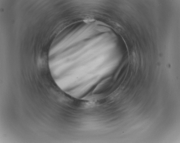 X0000077350092200611101625