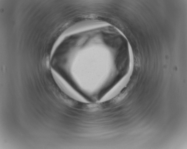 X0000077350095200611101625