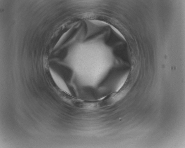 X0000077350096200611101625