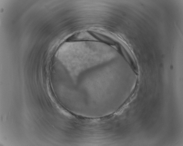 X0000077350097200611101624