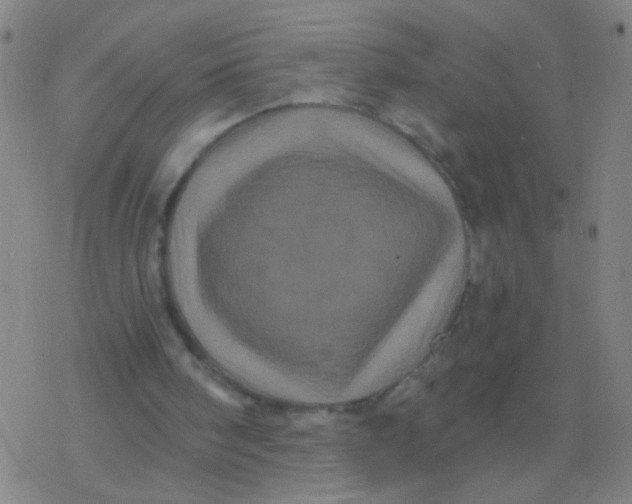 X0000077350098200611101624