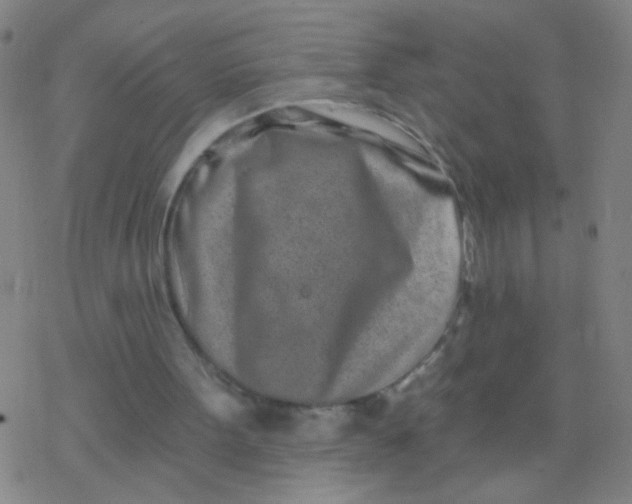 X0000077350099200611101624