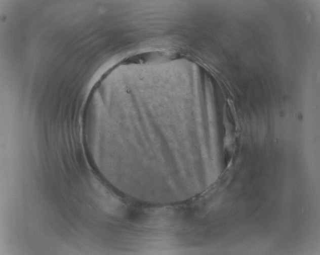 X0000077350100200611101624