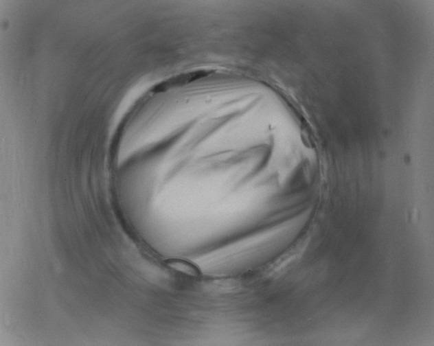 X0000077350102200611101624