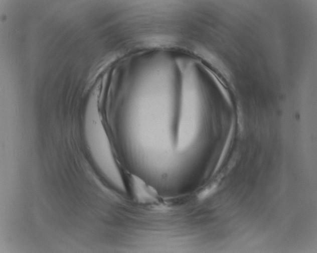 X0000077350105200611101624