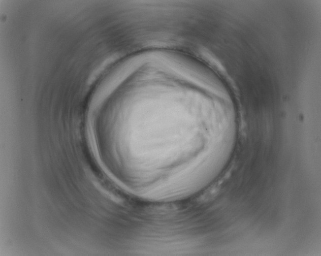 X0000077350106200611101624