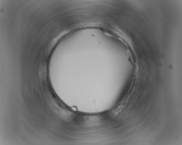 X0000077350107200611101624