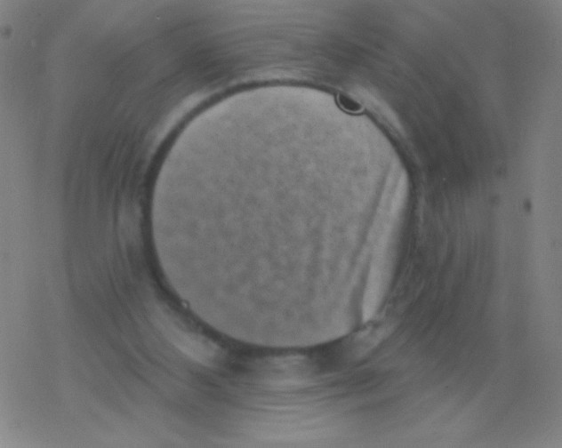 X0000077350108200611101624