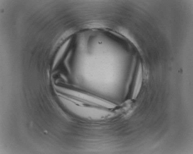 X0000077350109200611101624