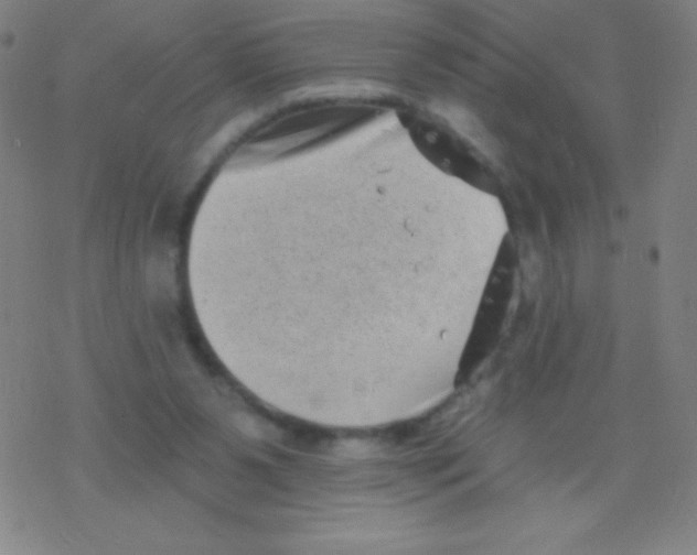 X0000077350111200611101624