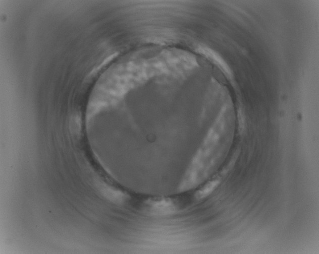 X0000077350113200611101624