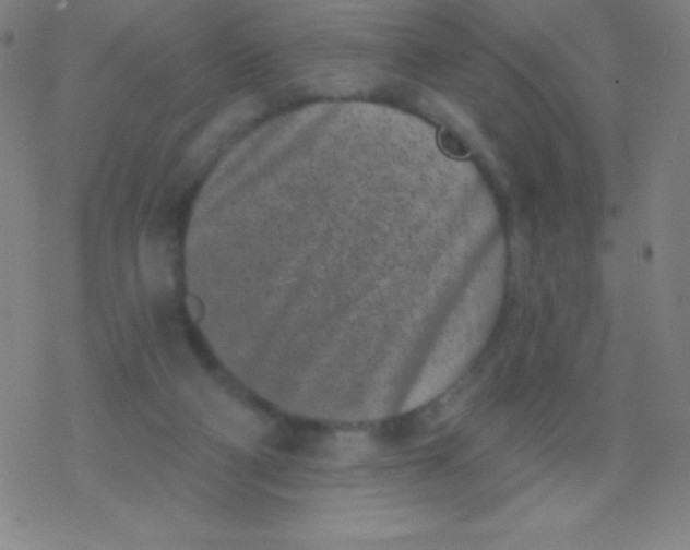 X0000077350114200611101624