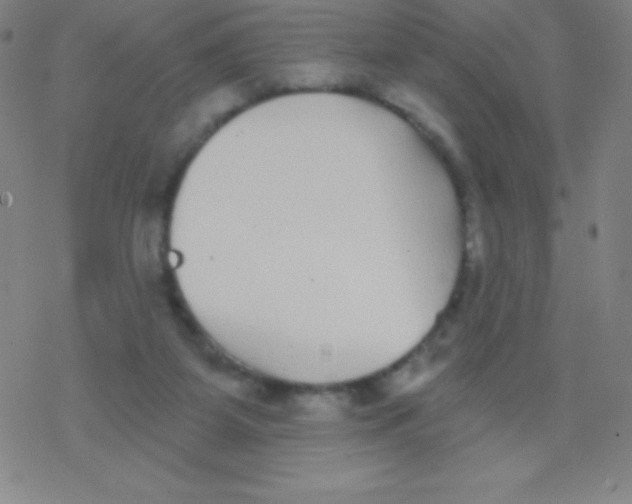 X0000077350115200611101624