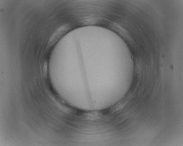 X0000077350118200611101624