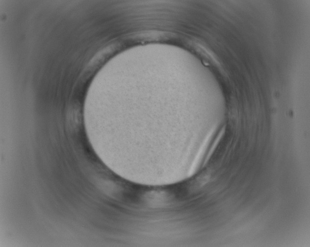 X0000077350119200611101624