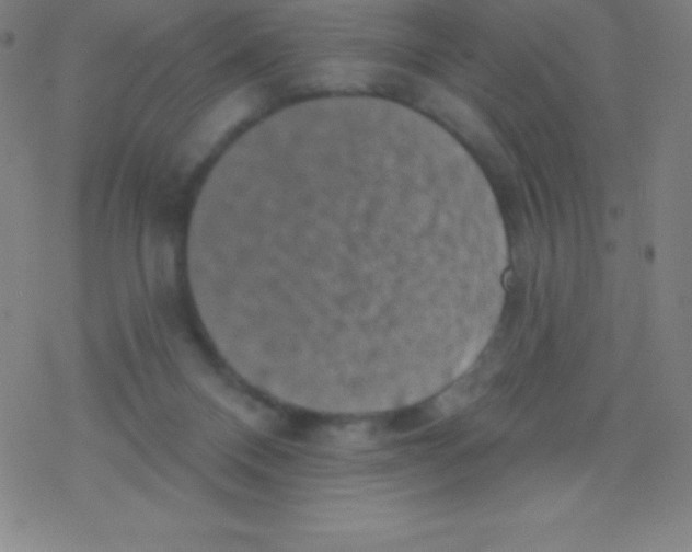 X0000077350120200611101624