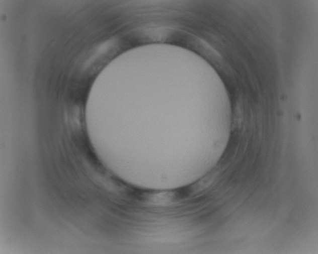 X0000077350122200611101624