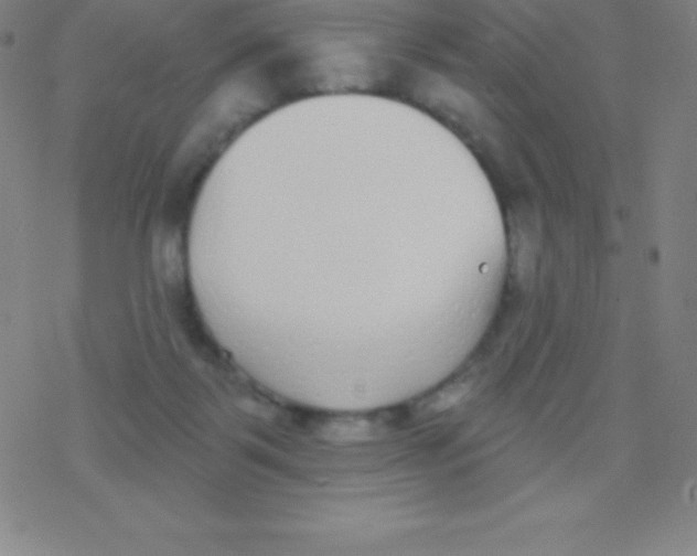 X0000077350123200611101624