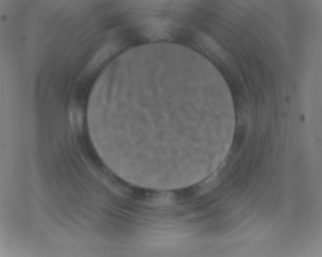 X0000077350124200611101624