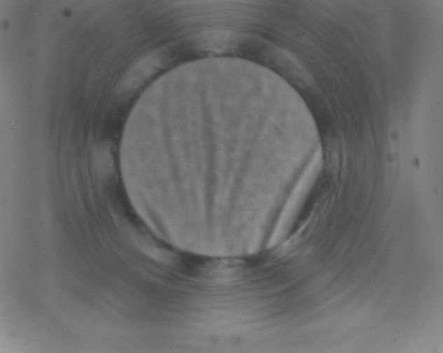 X0000077350128200611101623